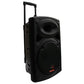 E-lektron EL38-MS 15-inch Portable Bluetooth Party Speaker with 2 Mic & 2 LED Lights - close-up detail