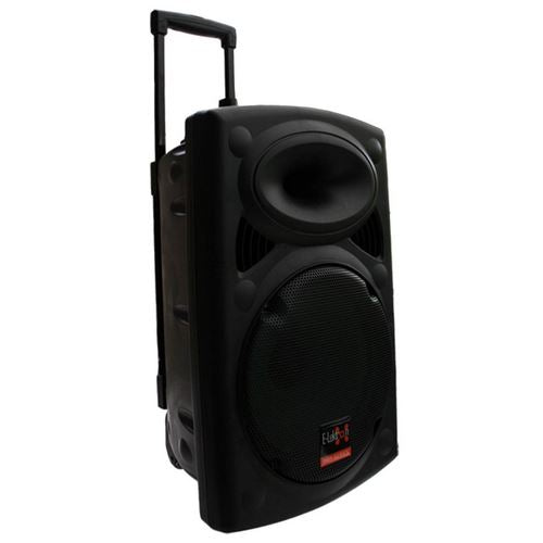 E-lektron EL38-MS 15-inch Portable Bluetooth Party Speaker with 2 Mic & 2 LED Lights - close-up detail