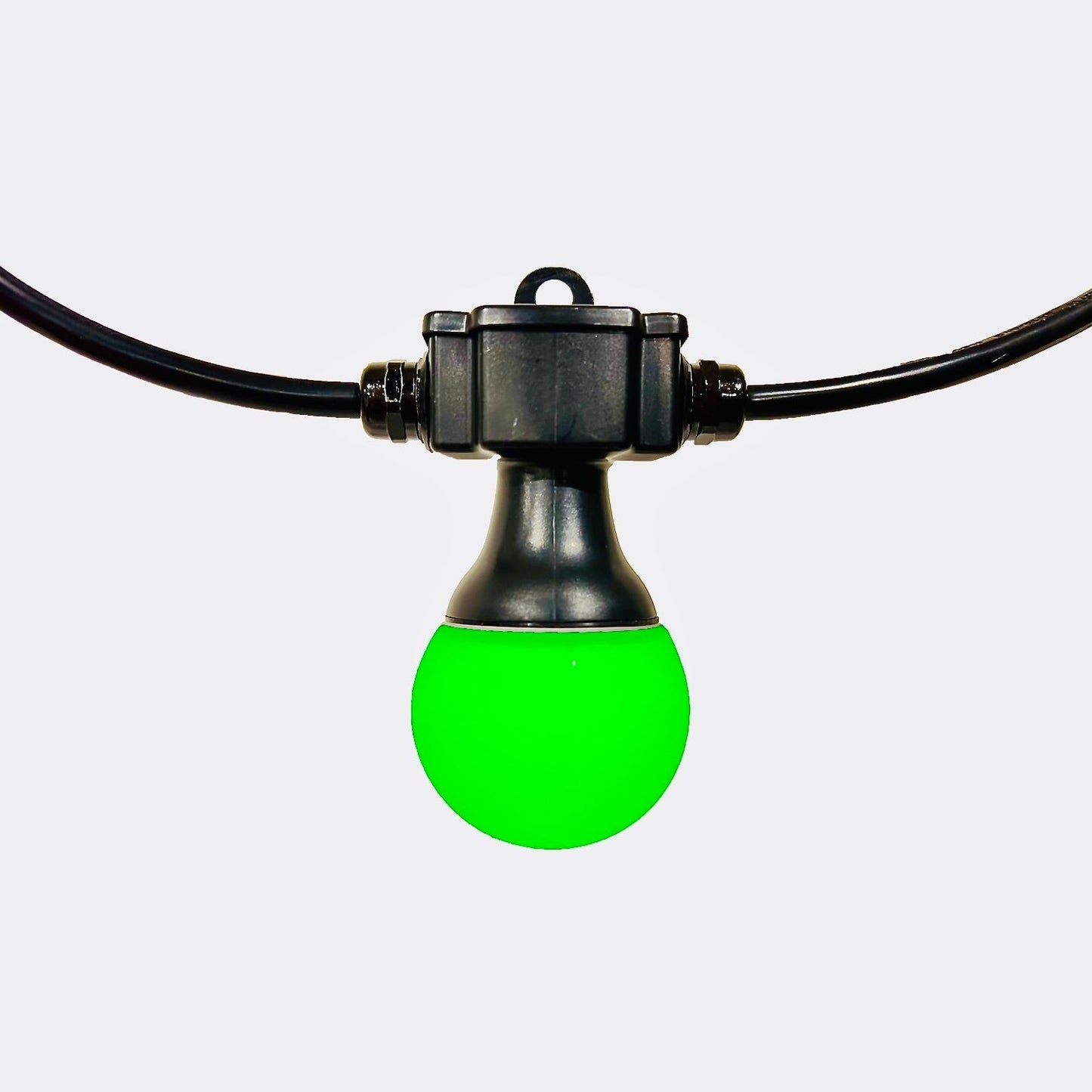 CR Lite Dream Color Magik Festoon Light RGB String 20 Bulbs Pixel Control - rear panel and connections