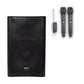 QTX Quest QKS15 Bluetooth PA Speaker with 2 UHF Mics - PA speaker system available at ACLINKER Australia